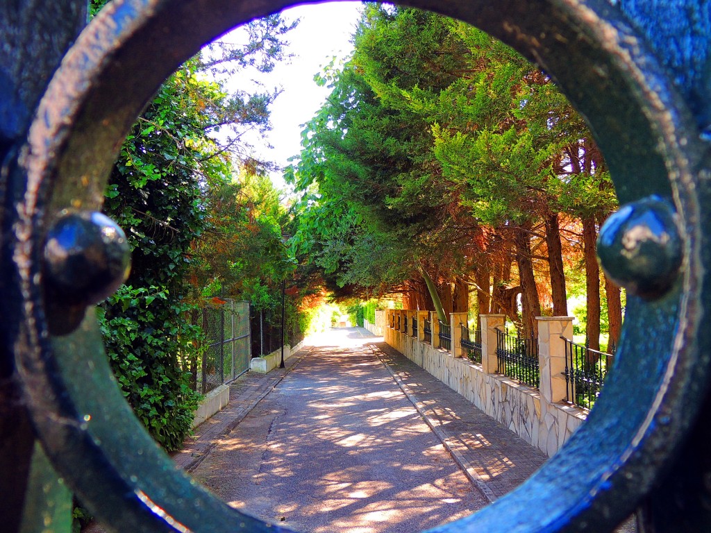 Foto de El Bosque (Cádiz), España