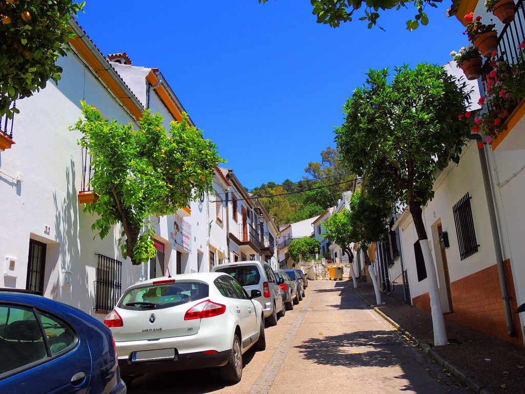 Foto de El Bosque (Cádiz), España