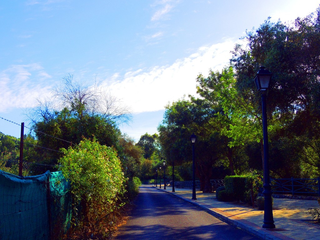 Foto de El Bosque (Cádiz), España