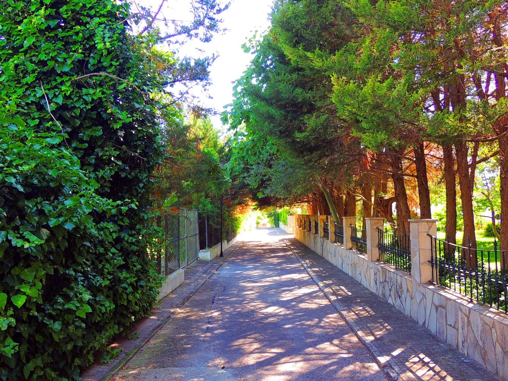 Foto de El Bosque (Cádiz), España