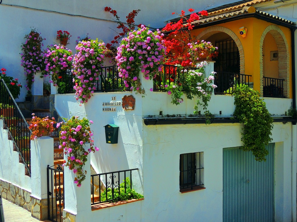 Foto de El Bosque (Cádiz), España