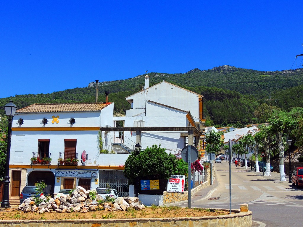 Foto de El Bosque (Cádiz), España