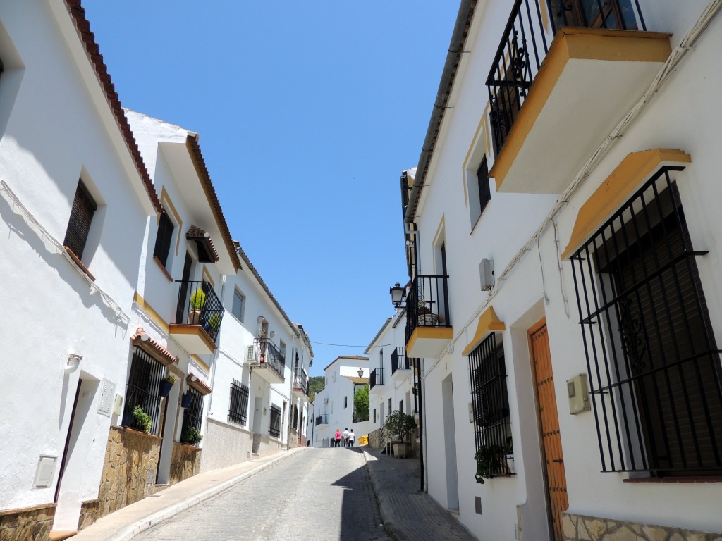 Foto de El Bosque (Cádiz), España