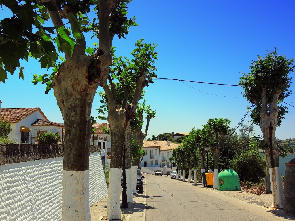 Foto de El Bosque (Cádiz), España