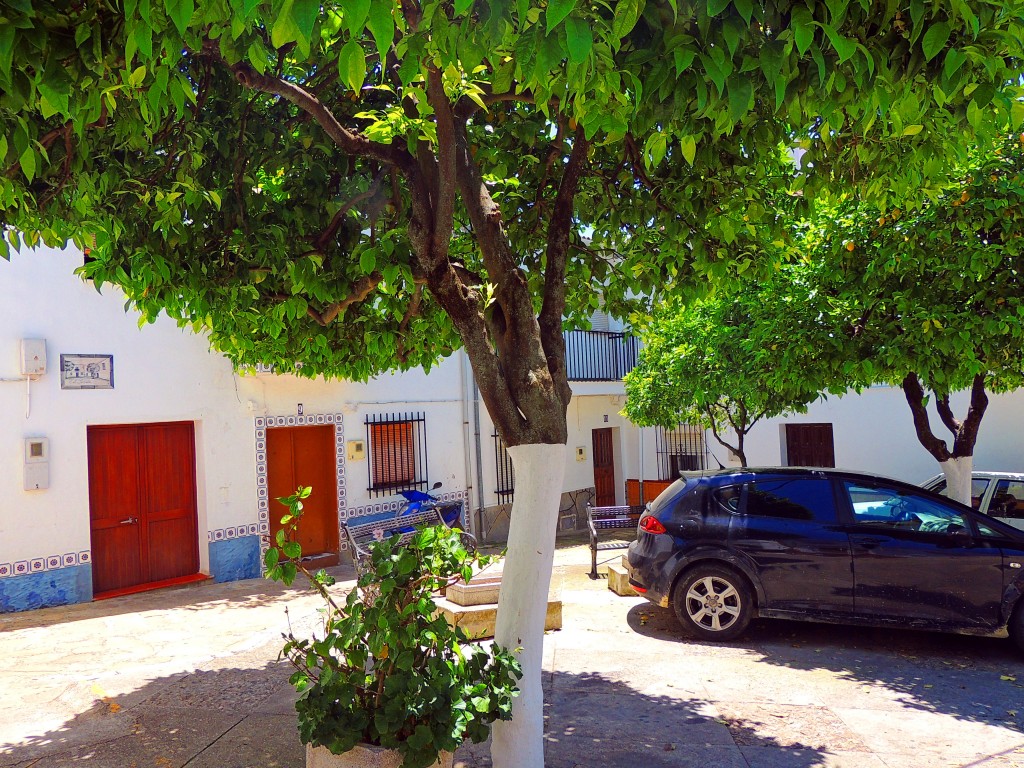 Foto de El Bosque (Cádiz), España