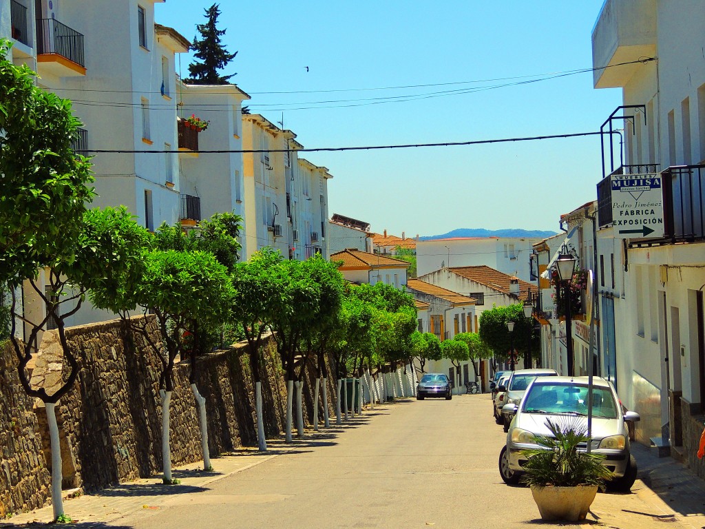 Foto de El Bosque (Cádiz), España