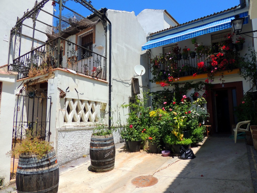 Foto de El Bosque (Cádiz), España