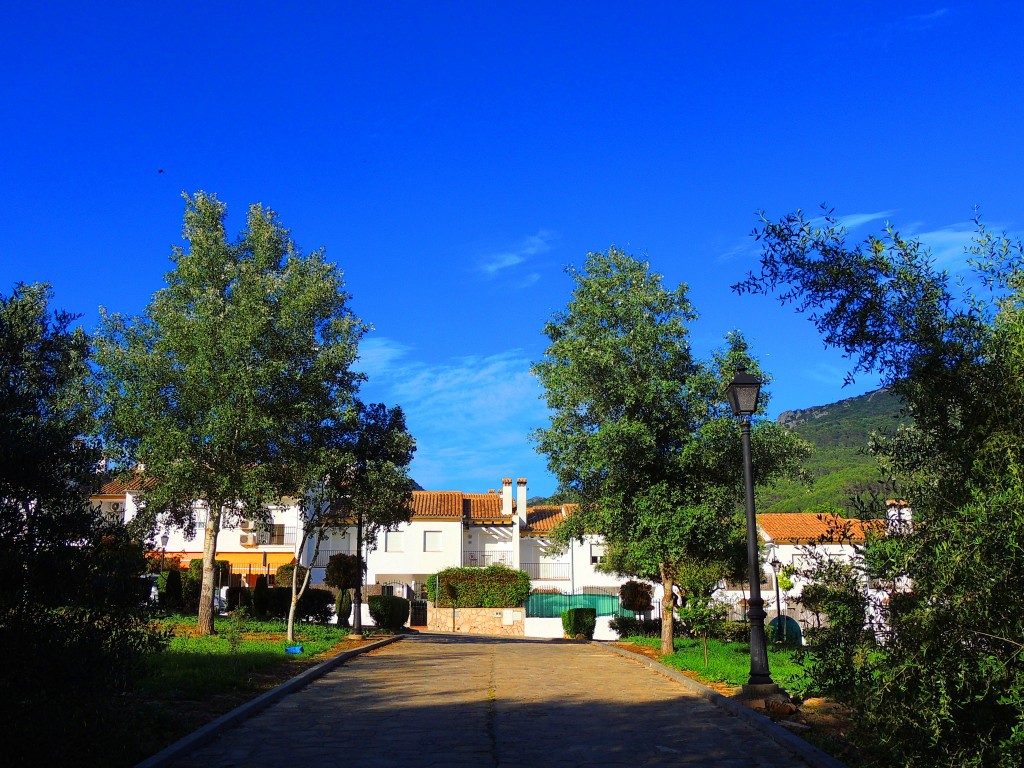 Foto de El Bosque (Cádiz), España