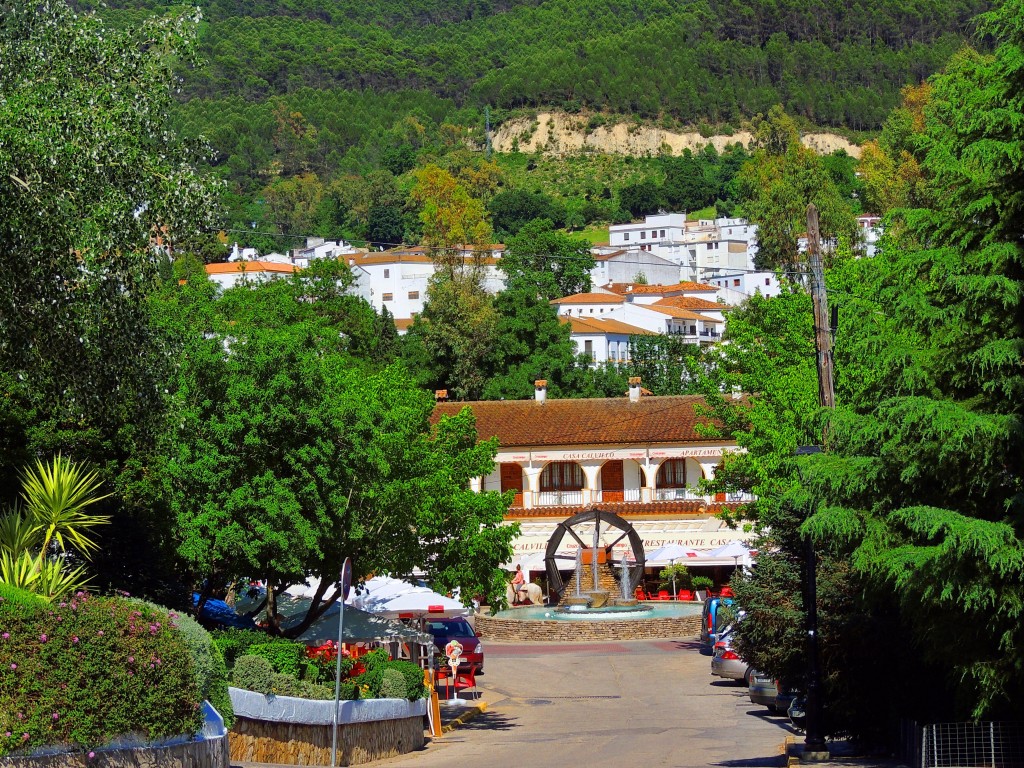 Foto de El Bosque (Cádiz), España