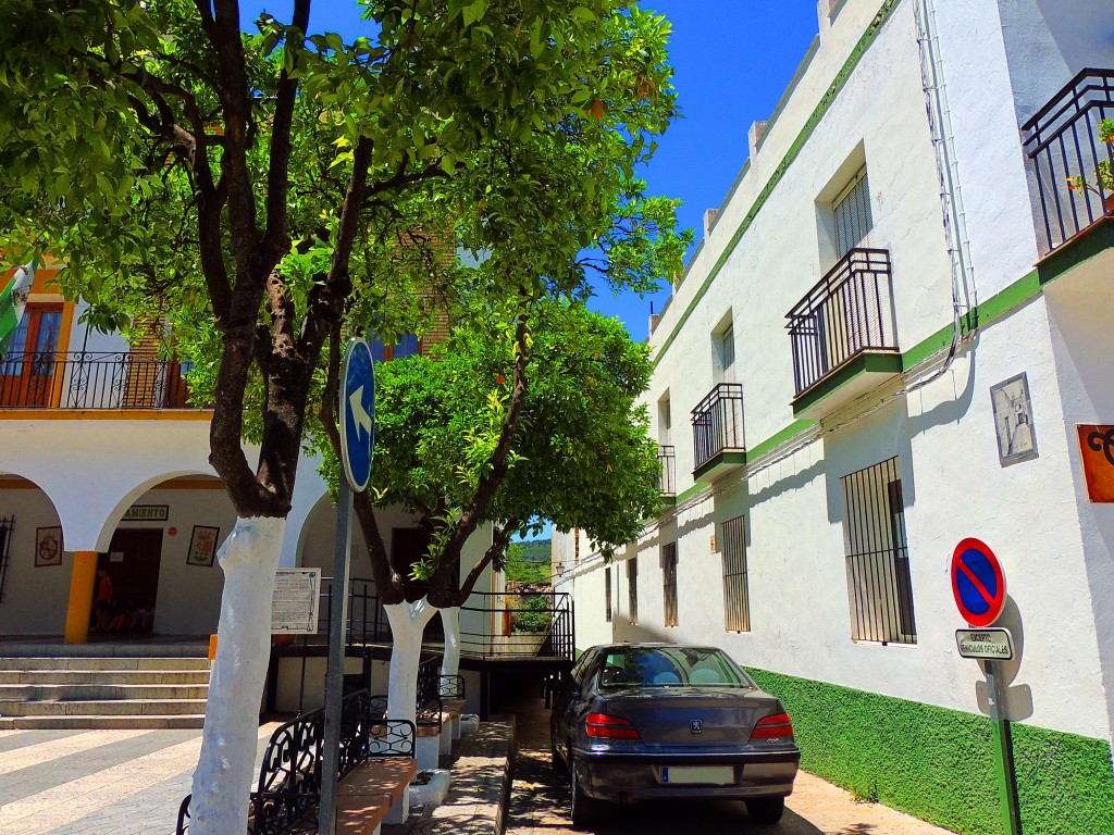 Foto de El Bosque (Cádiz), España