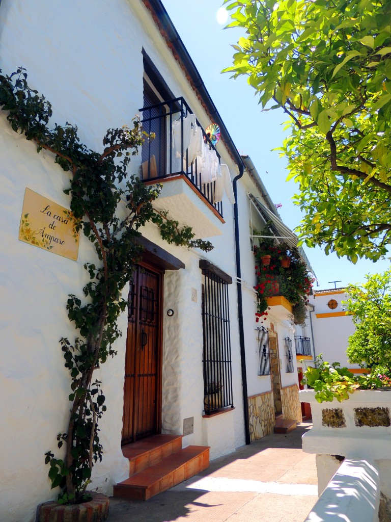 Foto de El Bosque (Cádiz), España