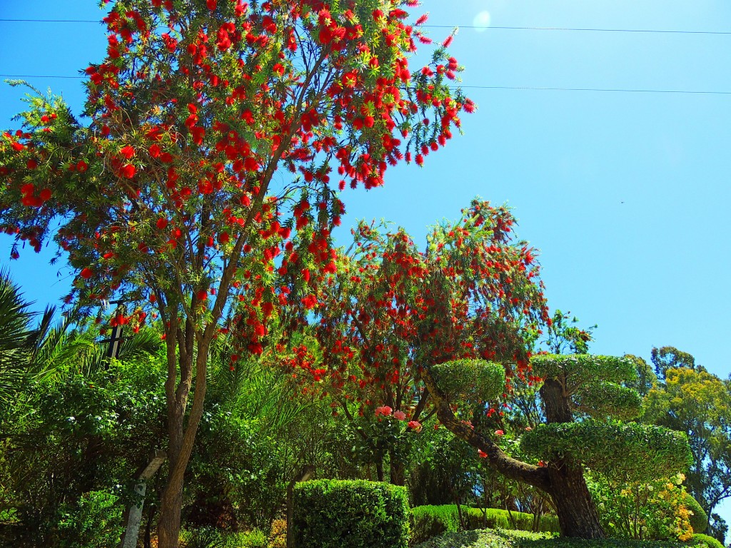 Foto de El Bosque (Cádiz), España