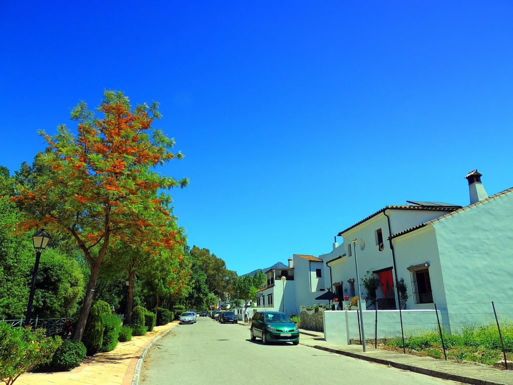 Foto de El Bosque (Cádiz), España