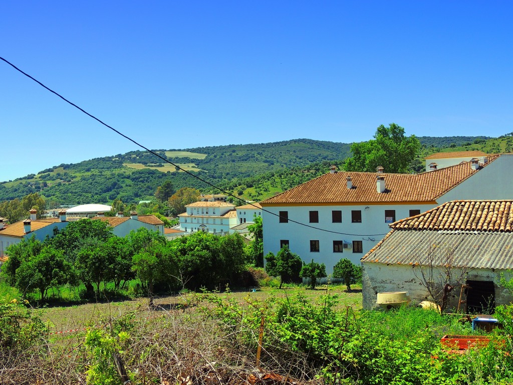 Foto de El Bosque (Cádiz), España