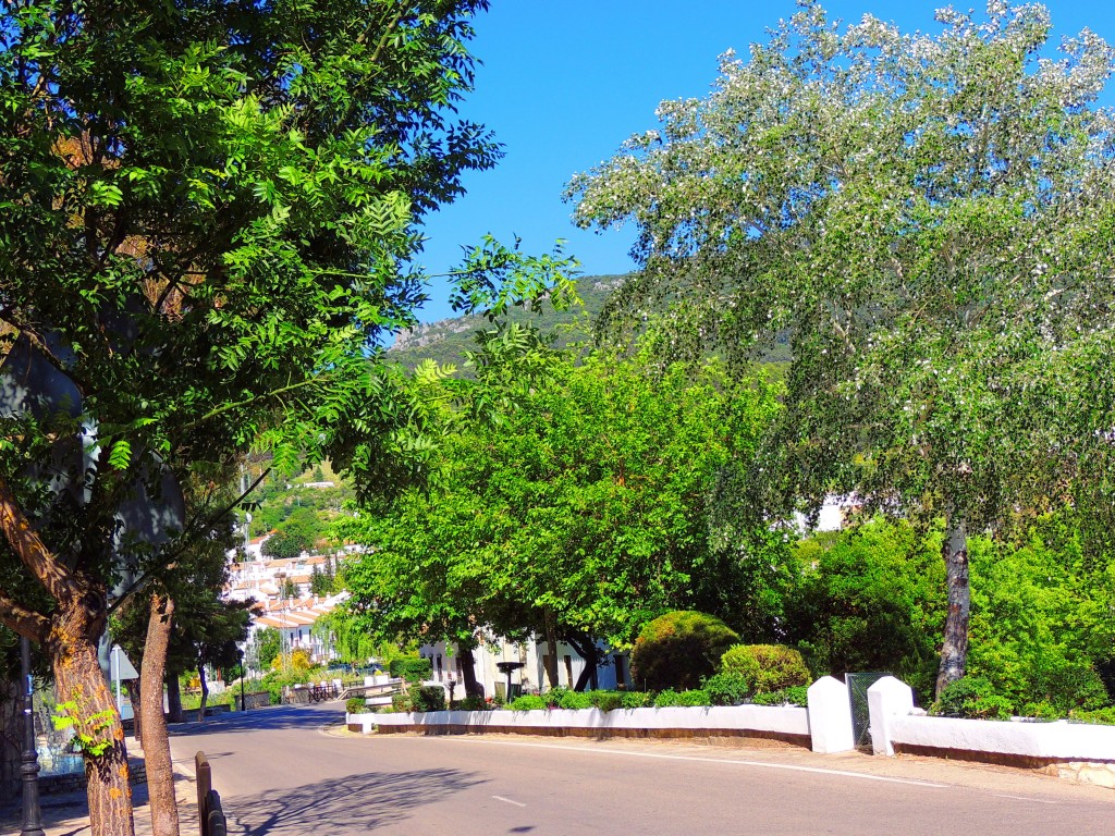 Foto de El Bosque (Cádiz), España