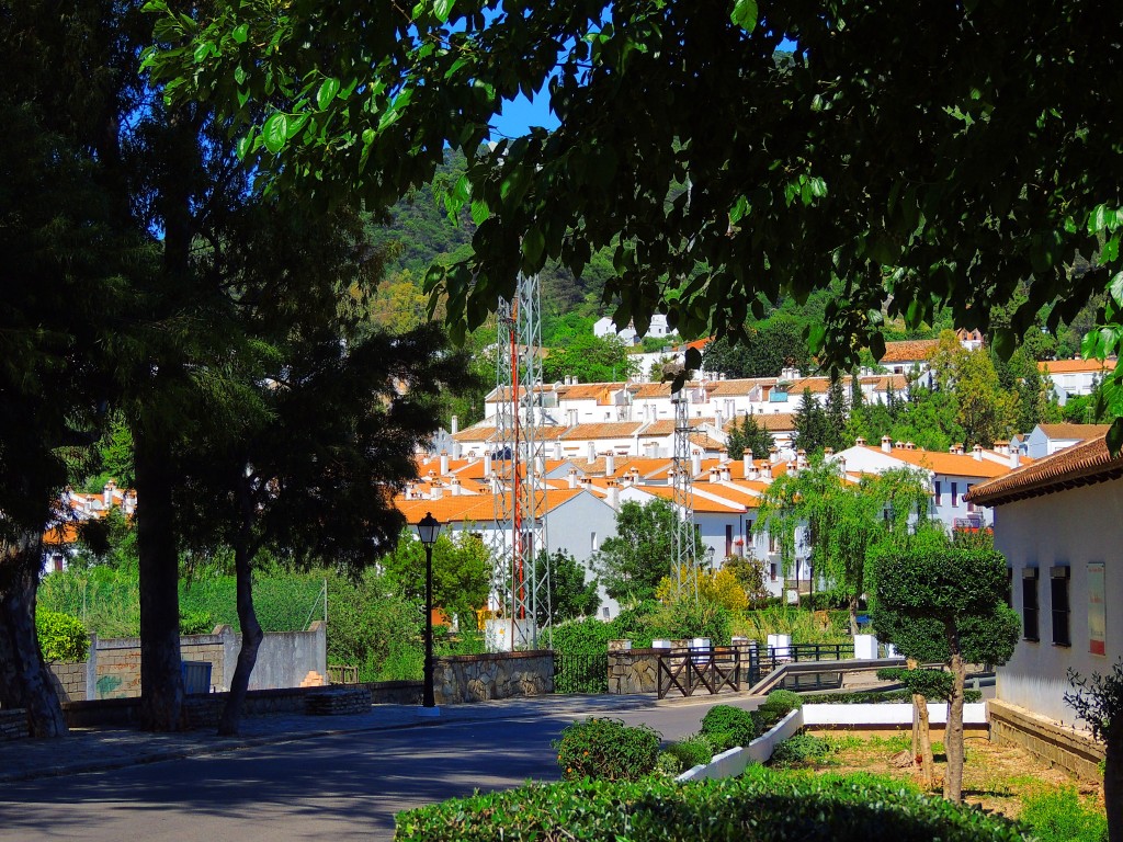 Foto de El Bosque (Cádiz), España