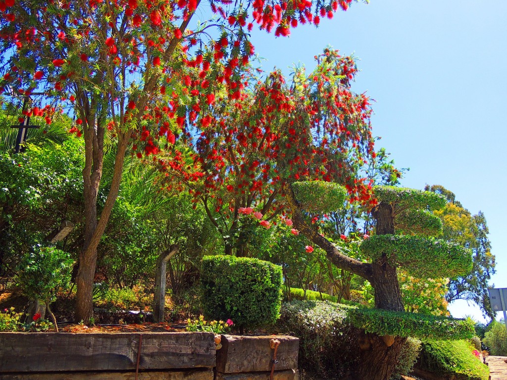 Foto de El Bosque (Cádiz), España