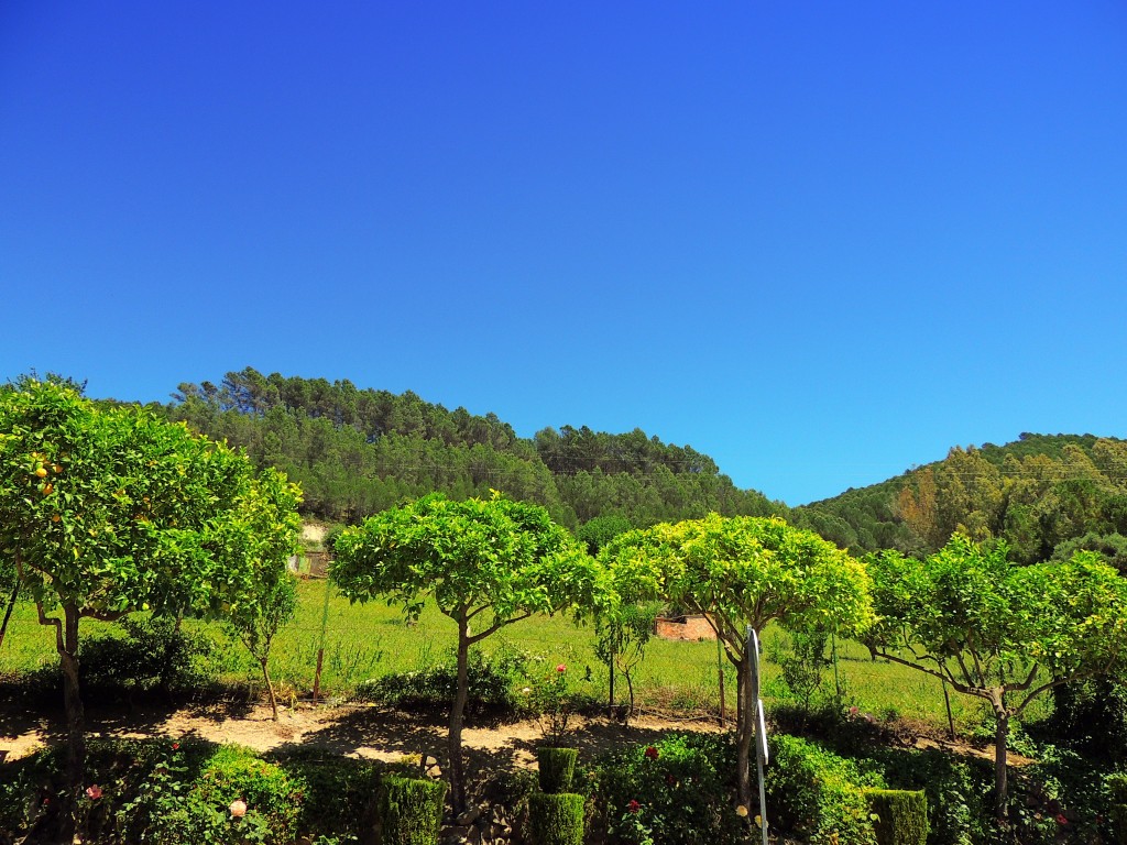 Foto de El Bosque (Cádiz), España