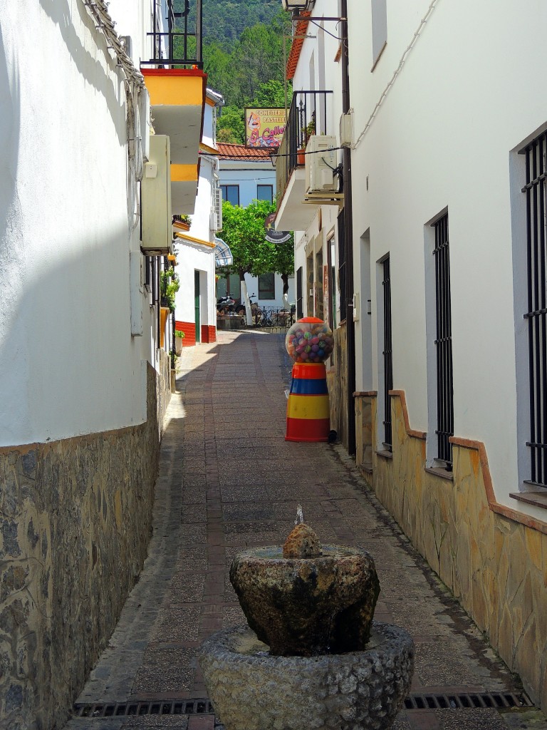 Foto de El Bosque (Cádiz), España