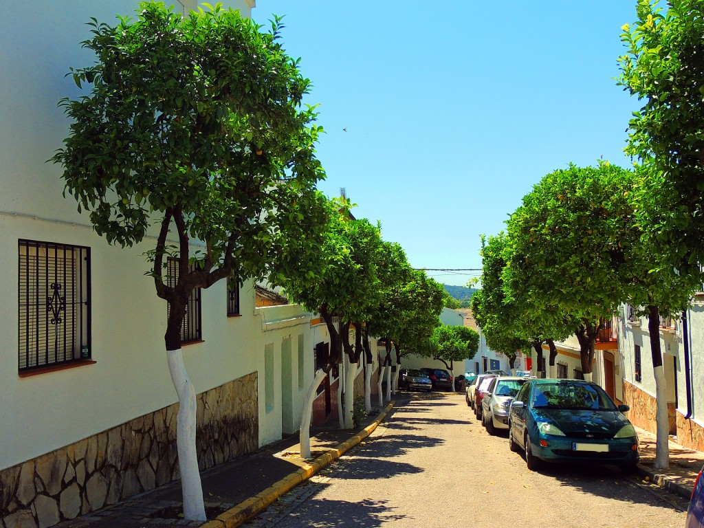 Foto de El Bosque (Cádiz), España