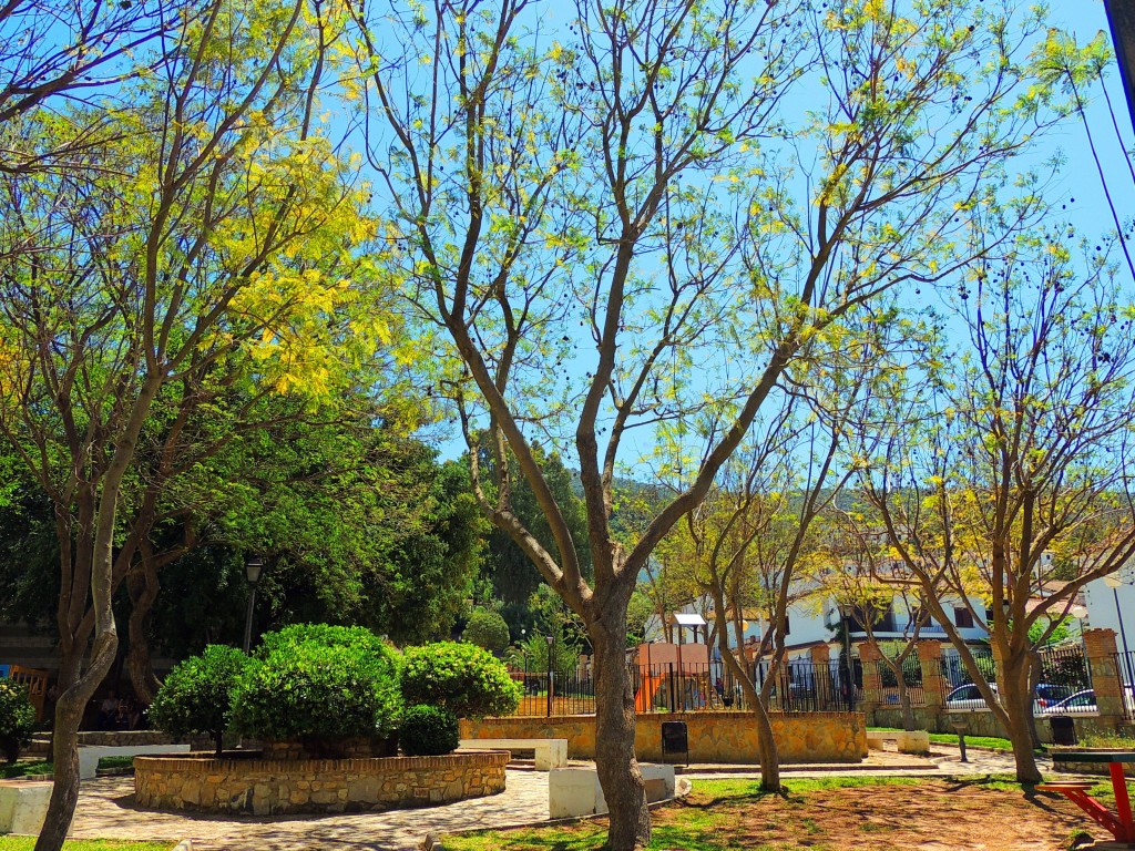 Foto de El Bosque (Cádiz), España