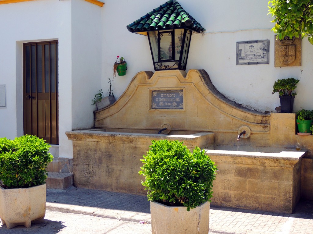 Foto de El Bosque (Cádiz), España