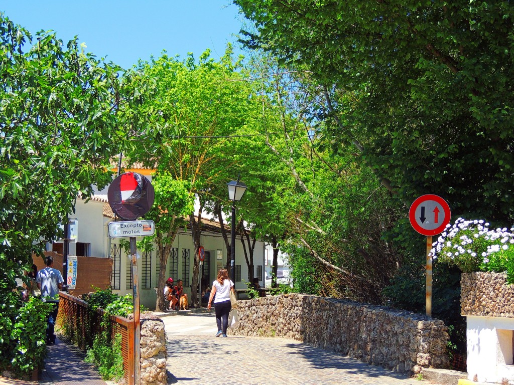 Foto de El Bosque (Cádiz), España