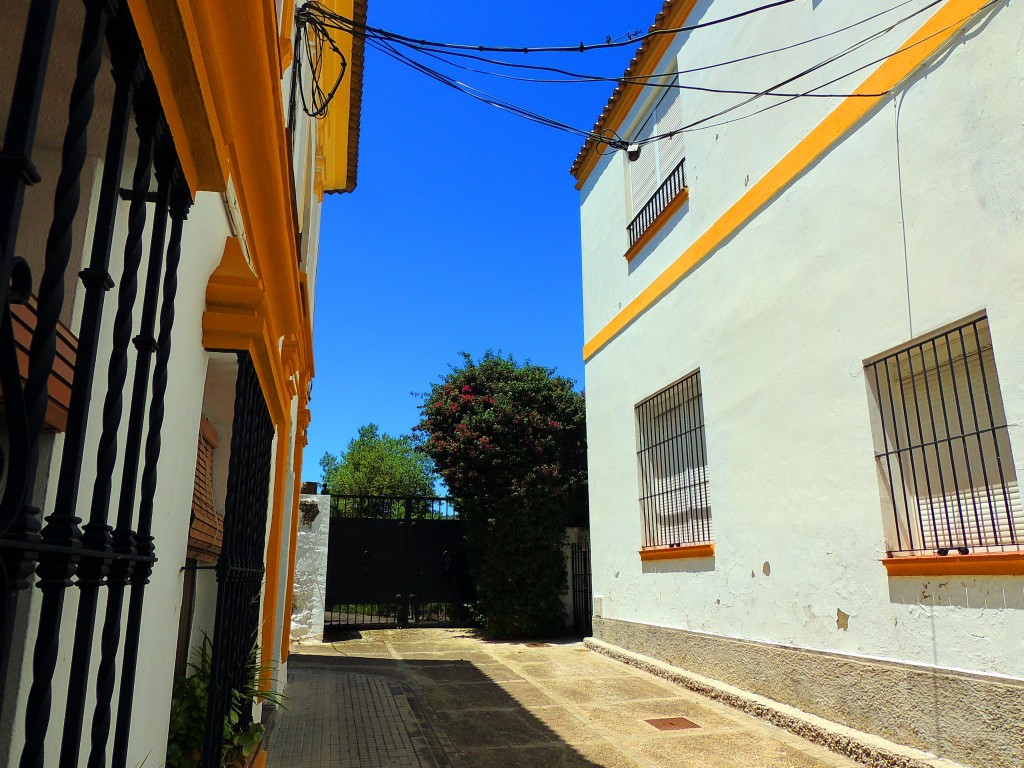 Foto de El Bosque (Cádiz), España