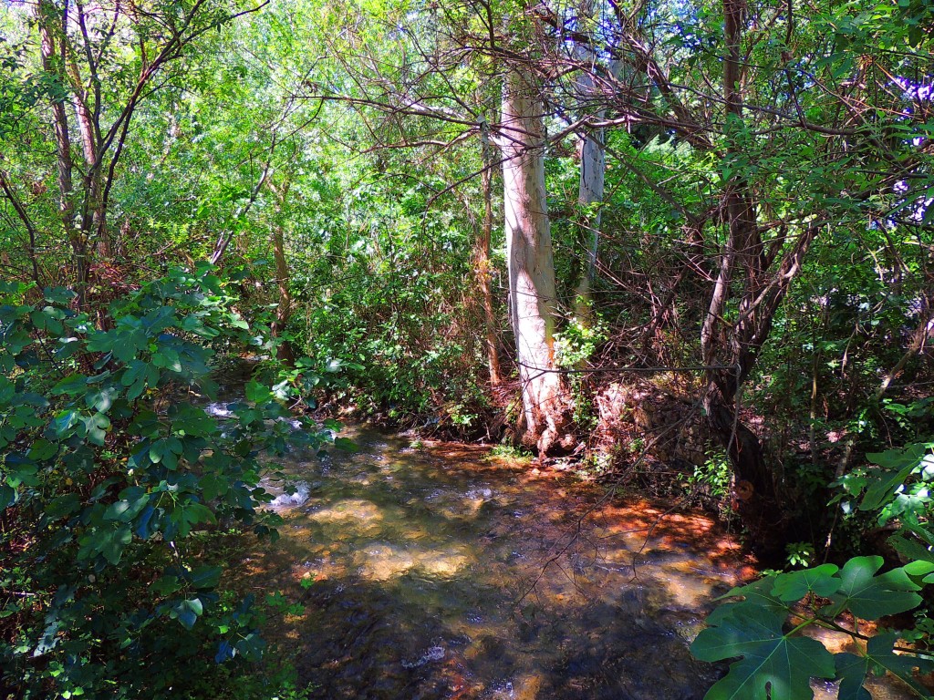 Foto de El Bosque (Cádiz), España