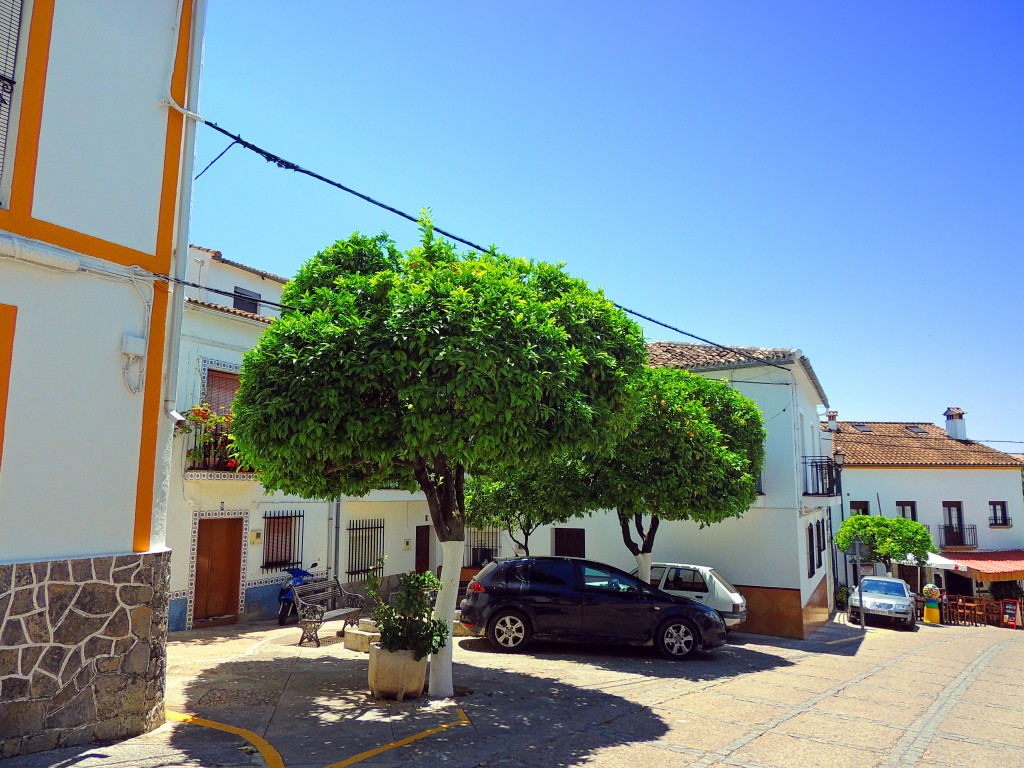 Foto de El Bosque (Cádiz), España