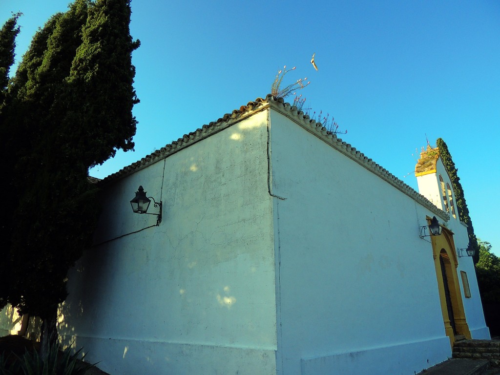 Foto de Santa María de Trassierra (Córdoba), España