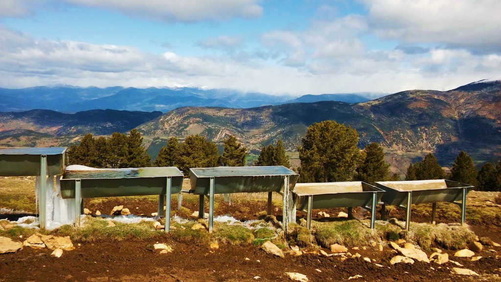 Foto: Parc Natural del Cadí-Moixeró - La Vansa (Lleida), España