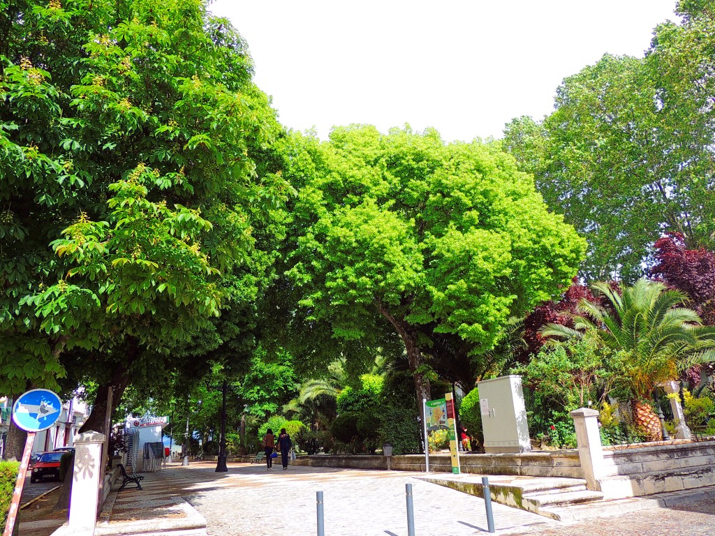 Foto de Priego de Córdoba (Córdoba), España