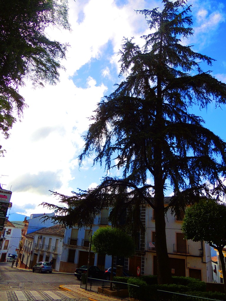 Foto de Priego de Córdoba (Córdoba), España