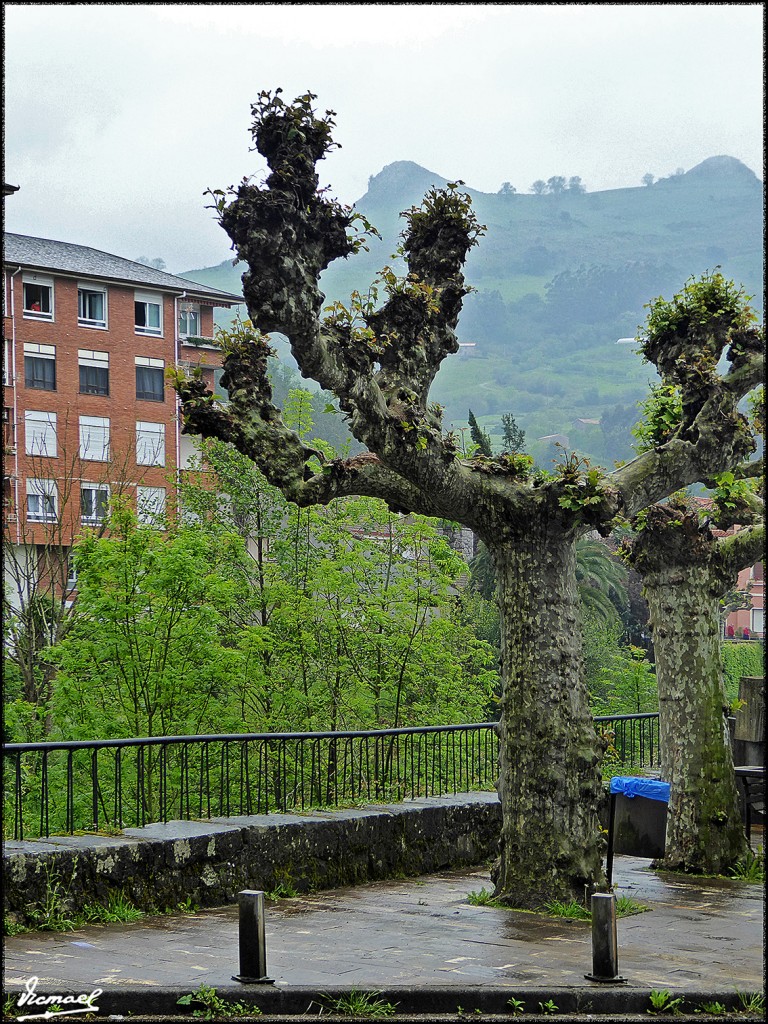 Foto: 160515-008 LIERGANES - Lierganes (Cantabria), España