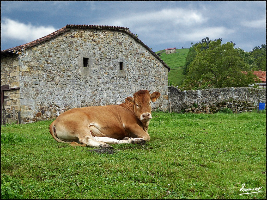 Foto: 160519-012 LIERGANES - Lierganes (Cantabria), España