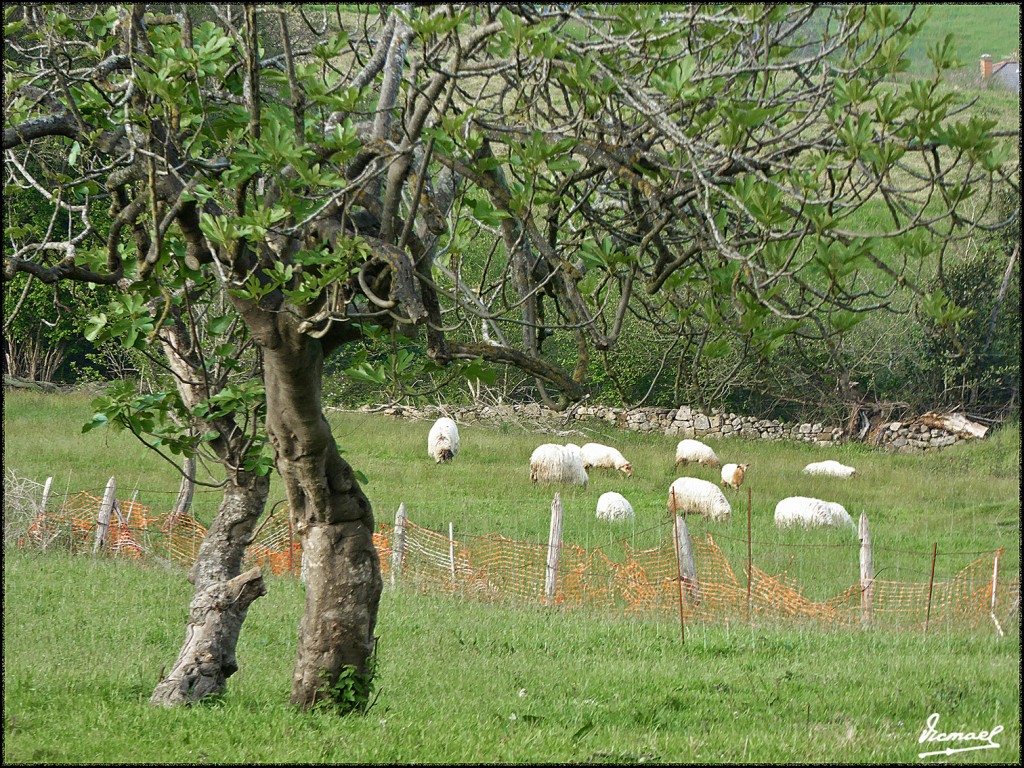 Foto: 160515-052 LIERGANES - Lierganes (Cantabria), España