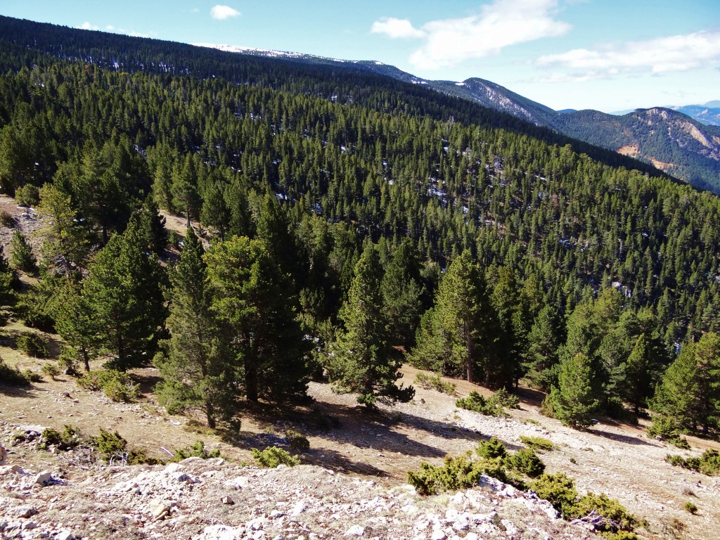 Foto: Parc Natural del Cadí-Moixeró - La Vansa (Lleida), España