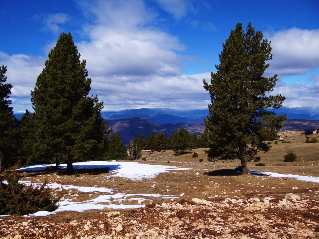 Foto: Parc Natural del Cadí-Moixeró - La Vansa (Lleida), España