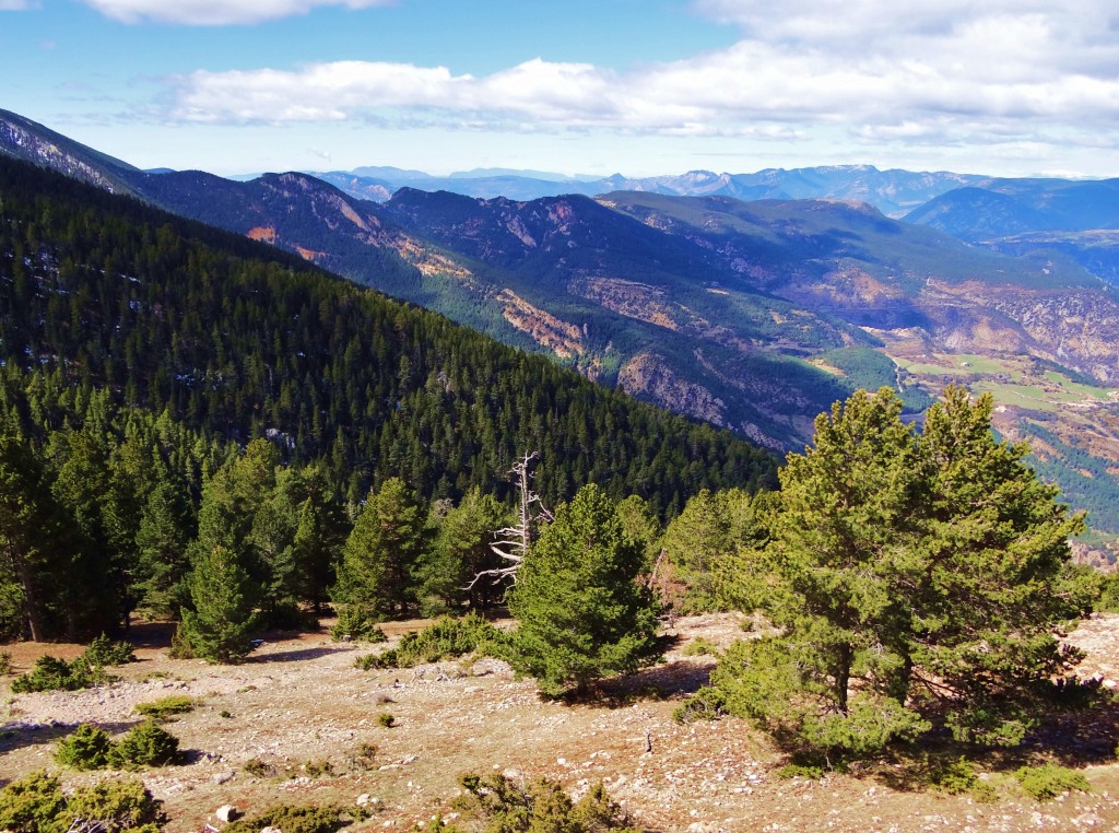 Foto: Parc Natural del Cadí-Moixeró - La Vansa (Lleida), España