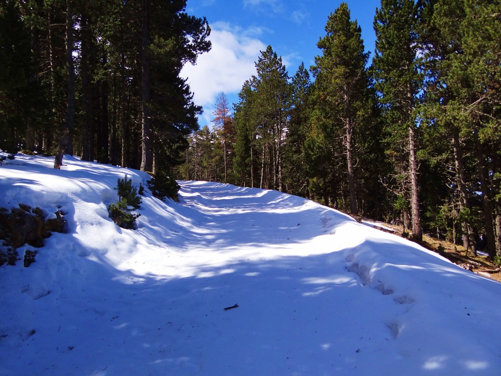 Foto: Parc Natural del Cadí-Moixeró - La Vansa (Lleida), España