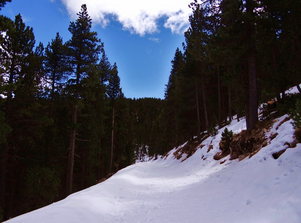 Foto: Parc Natural del Cadí-Moixeró - La Vansa (Lleida), España