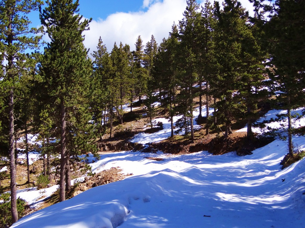 Foto: Parc Natural del Cadí-Moixeró - La Vansa (Lleida), España