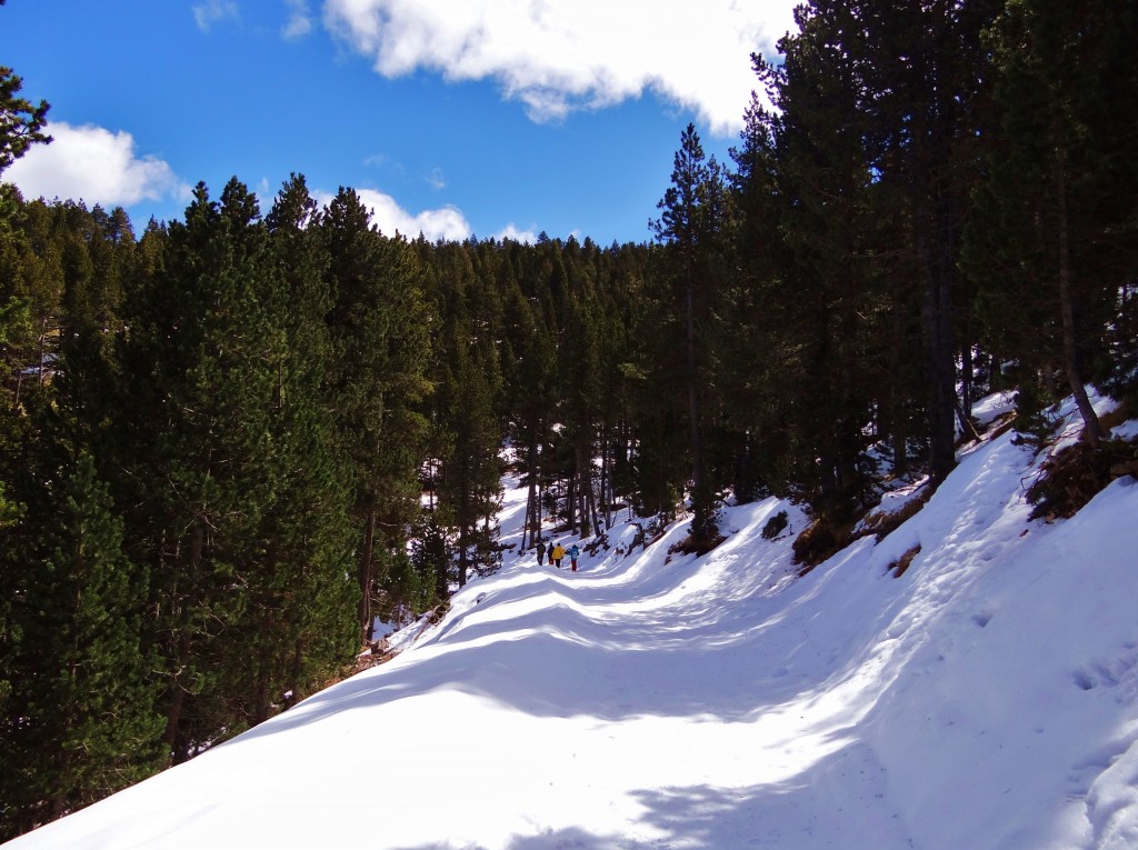 Foto: Parc Natural del Cadí-Moixeró - La Vansa (Lleida), España