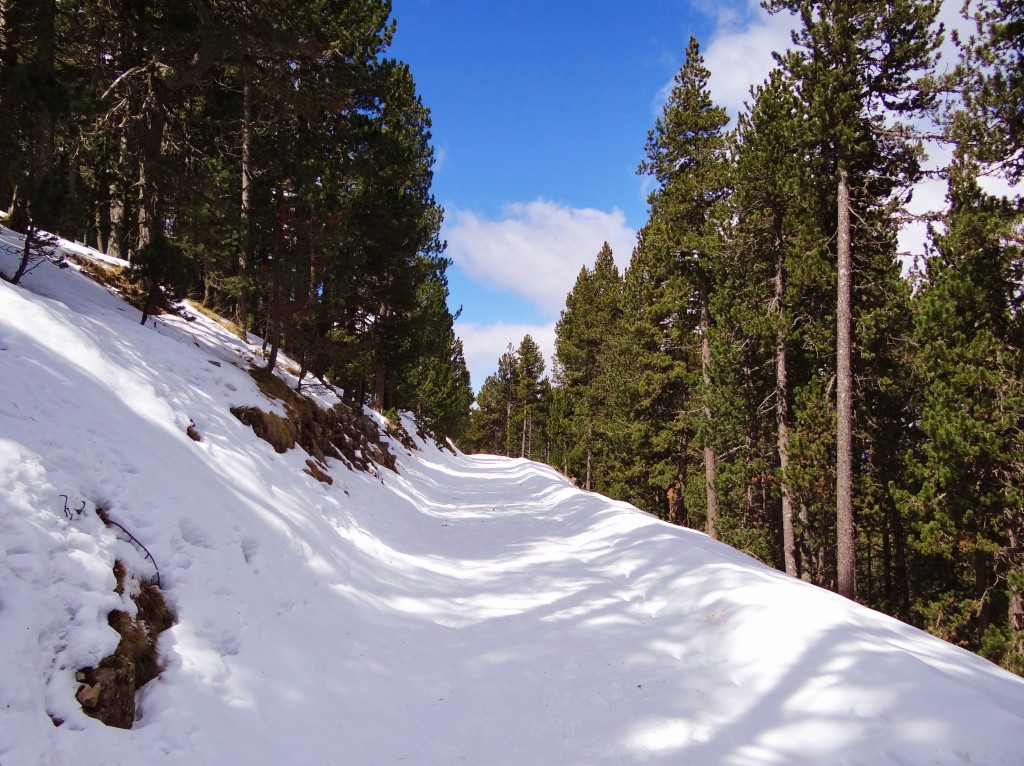 Foto: Parc Natural del Cadí-Moixeró - La Vansa (Lleida), España