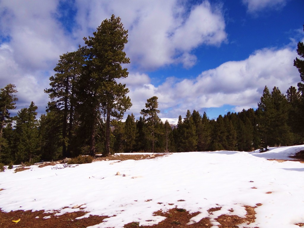 Foto: Parc Natural del Cadí-Moixeró - La Vansa (Lleida), España