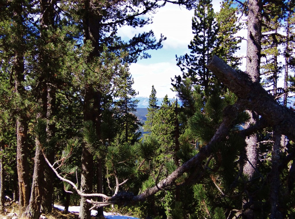 Foto: Parc Natural del Cadí-Moixeró - La Vansa (Lleida), España