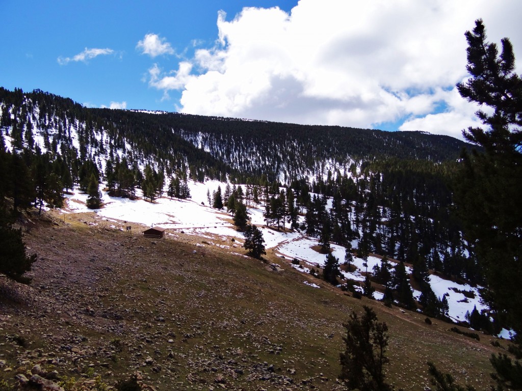 Foto: Parc Natural del Cadí-Moixeró - La Vansa (Lleida), España