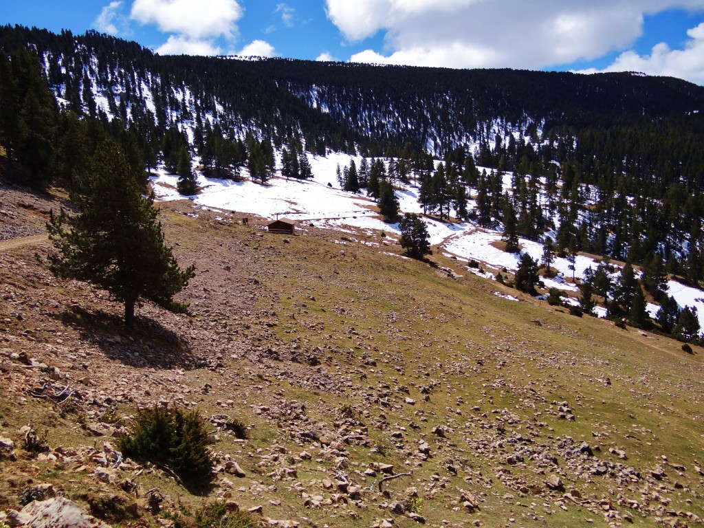 Foto: Parc Natural del Cadí-Moixeró - La Vansa (Lleida), España