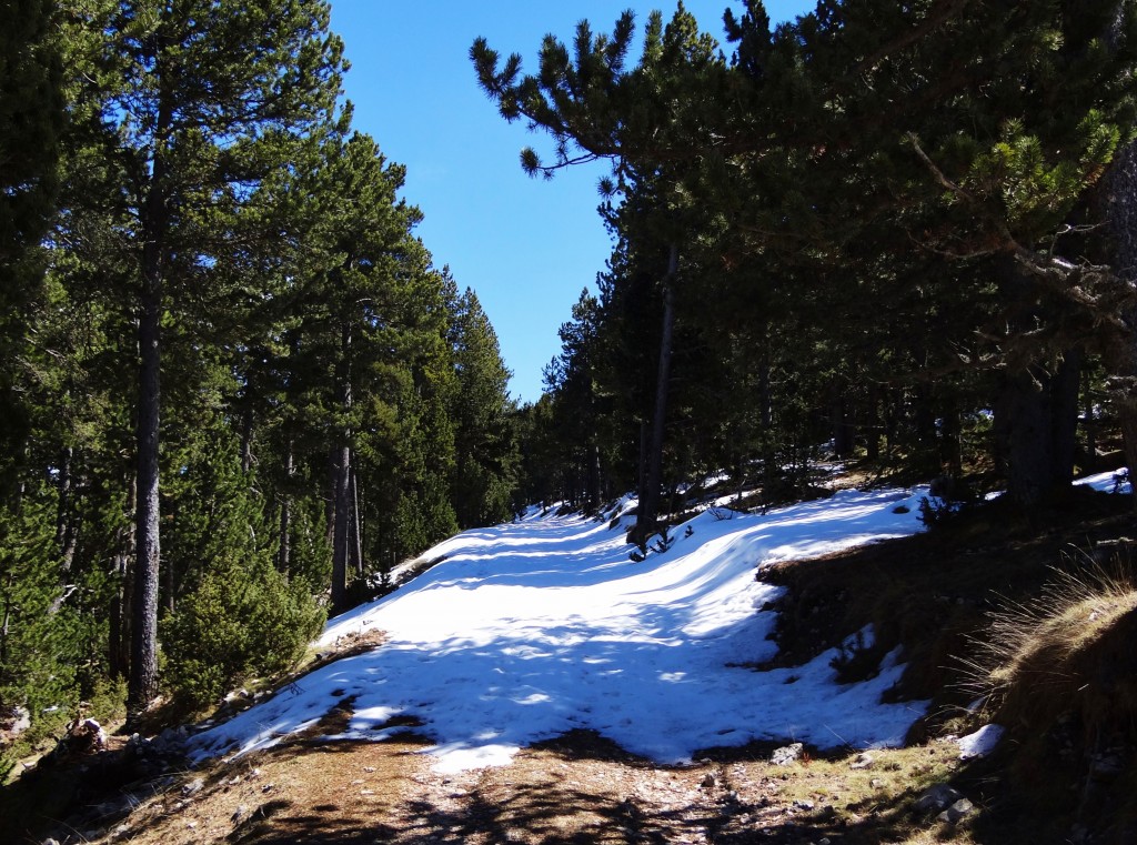 Foto: Parc Natural del Cadí-Moixeró - La Vansa (Lleida), España